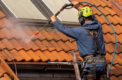 Démoussage et hydrofuge de toiture à Arbellara